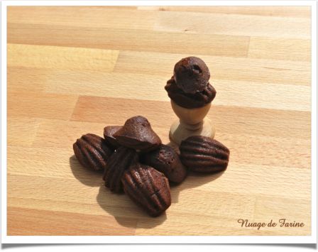 Madeleines au chocolat, comme des fondants….