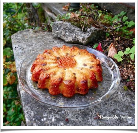 Gâteau