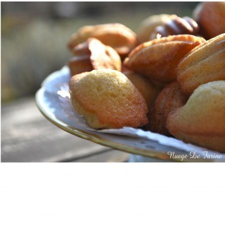 madeleines